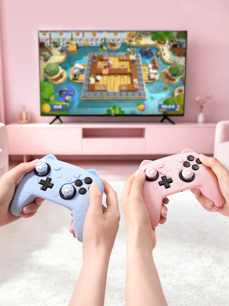 Custodia Protettiva Originale  - Gaming Accessories In Japan recensione e prezzo
